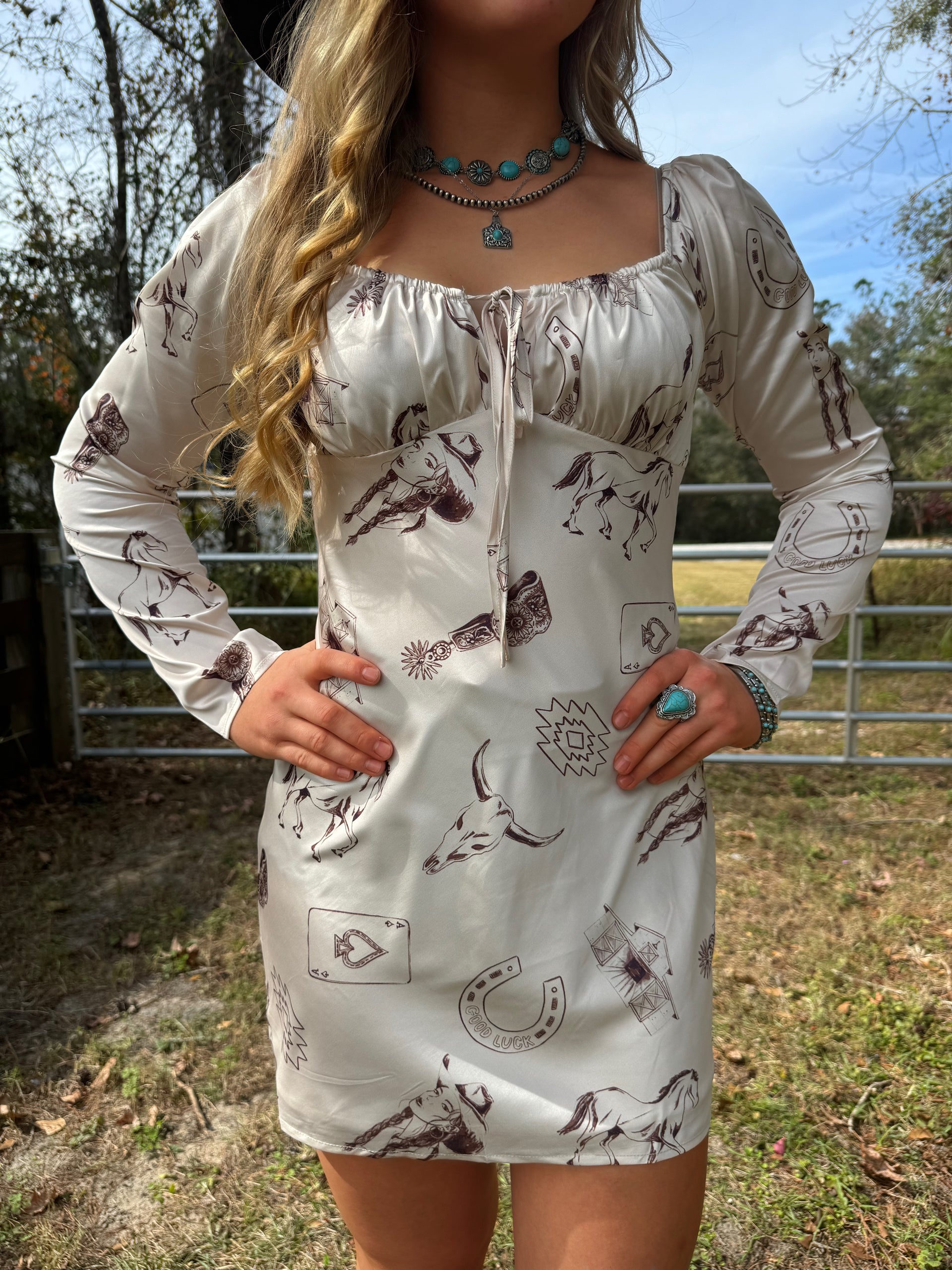 rodeo queen dresses The Dress – Palomino Gals Boutique Size:6 Drawer Dresser KHAKI CORDUROY Our one subclass-Tutu Rent the Runway Review: